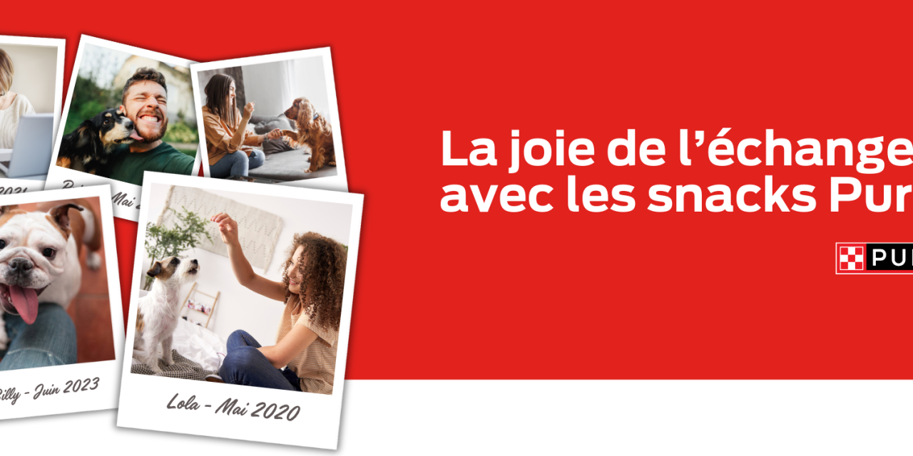 Snacks gratuits pour chien et pour chat