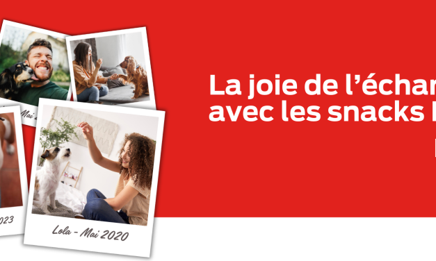 Snacks gratuits pour chien et pour chat