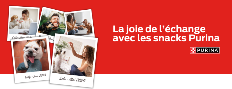 Snacks gratuits pour chien et pour chat