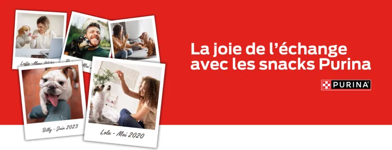 Snacks gratuits pour chien et pour chat